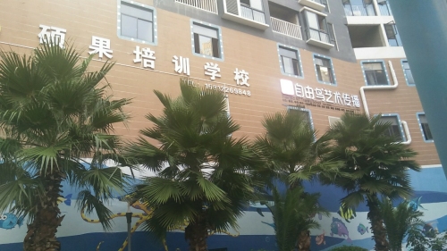 文山自由鸟艺术培训中心