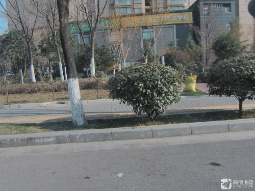 向太阳艺术培训学校