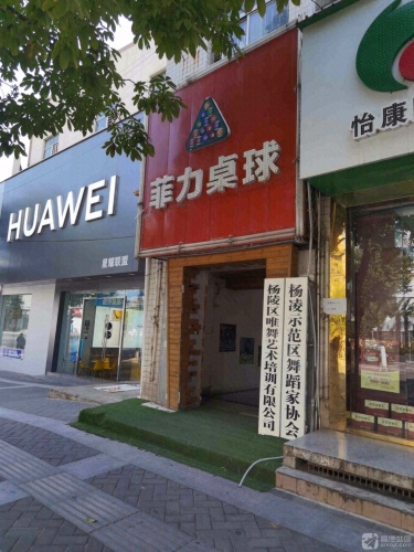 杨陵区唯舞艺术培训有限公司