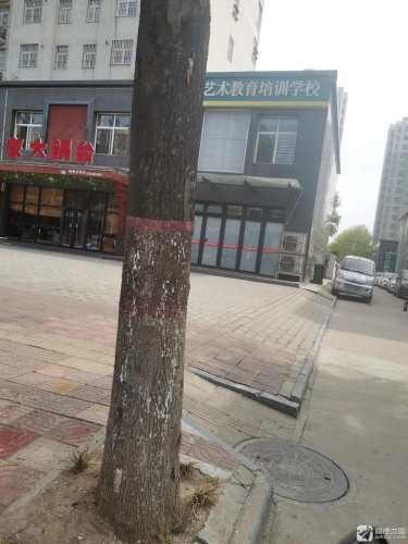 艺术教育培训学校