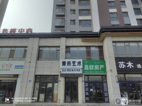 青禾艺术