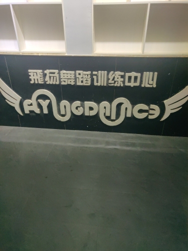 飞扬舞蹈培训中心有限公司