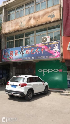 小荷花舞蹈艺术中心