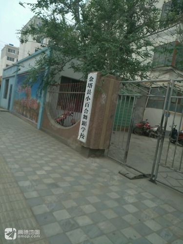 金塔县小百合舞蹈学校