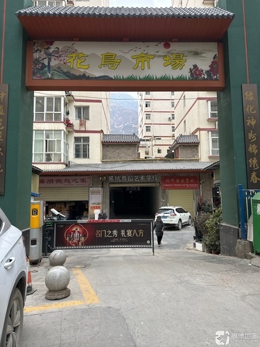 黑桃街舞(花鸟店)