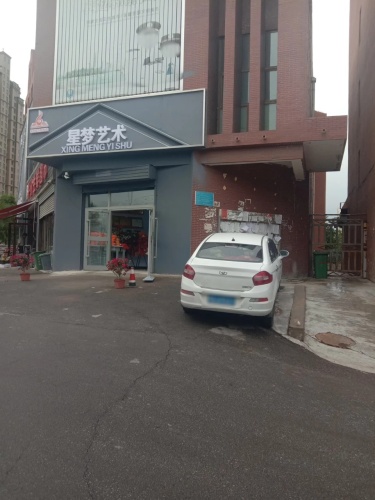 星梦艺术