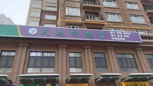 新疆天之峰文化艺术培训学校