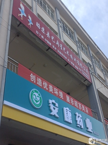 昭苏县艺冉星艺术培训有限公司