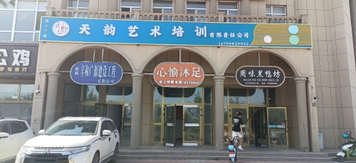 天韵艺术培训有限责任公司