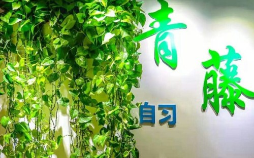 青藤自习