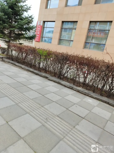 红舞鞋舞蹈学校