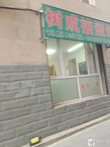 树成接迎班