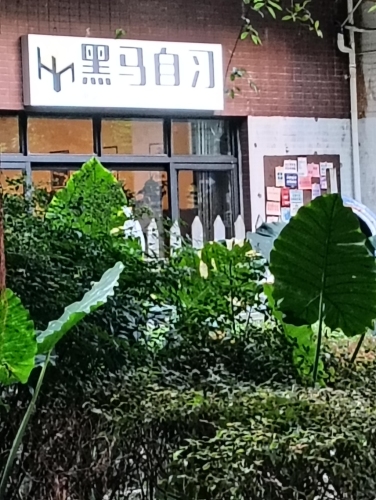 黑马自习