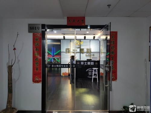 菲士舞蹈(临城校区)