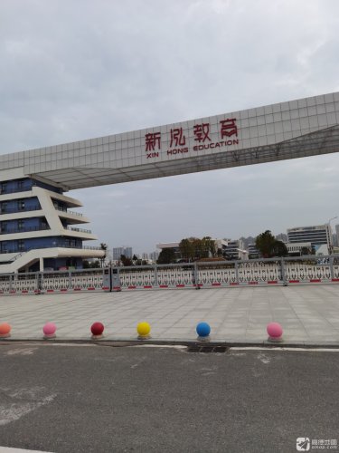 新泓教育