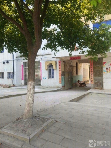 小板教育组