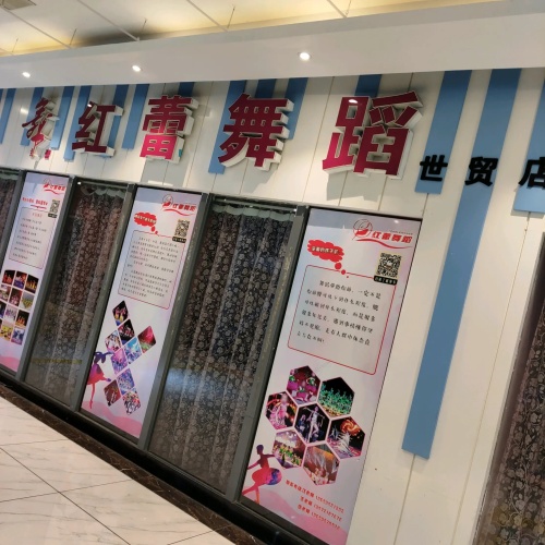 红蕾舞蹈(世贸店)