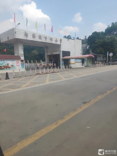 都杨镇中心小学