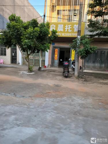 启晨托管