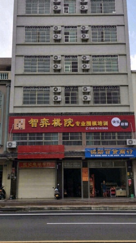 智弈棋院专业围棋培训
