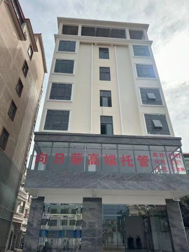 东方向日葵滨海托管中心