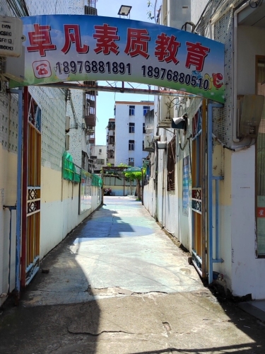 卓凡素质教育