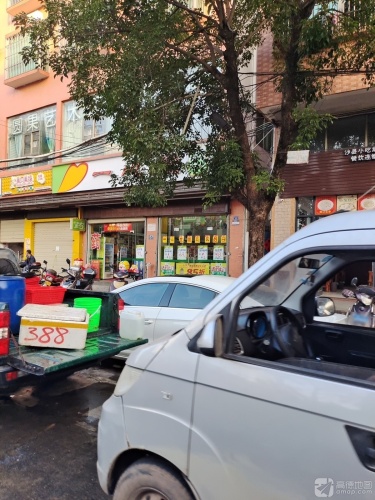 圆果艺术培训