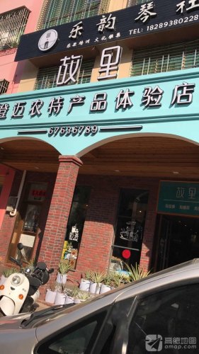 乐韵琴社