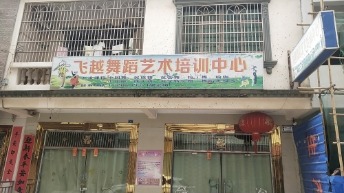 陵水椰林飞越舞蹈培训有限公司