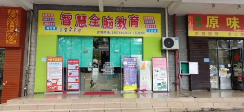智慧全脑教育