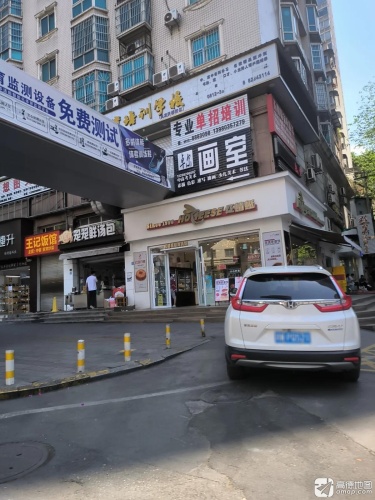 专业单招培训