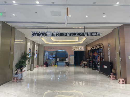 攀枝花市小精灵艺术培训学校有限公司