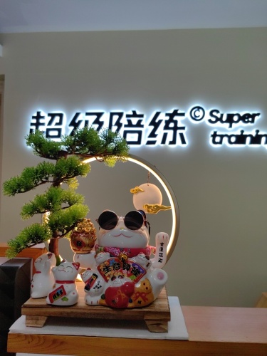 超级陪练