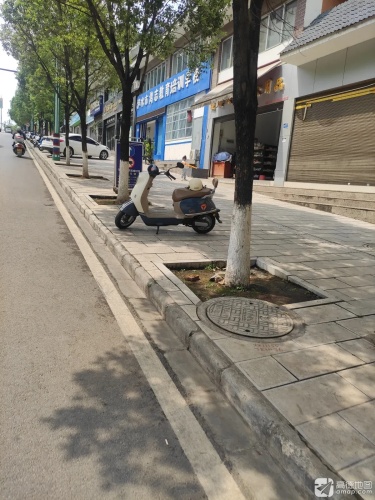 泸水市鸿志教育培训学校