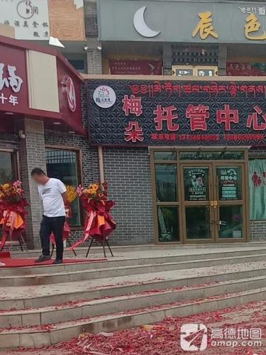 梅朵托管中心
