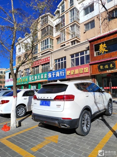 石嘴山市惠农区嘉奇画艺墙体彩绘部