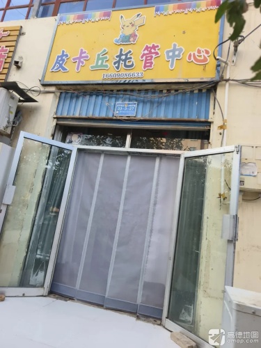 皮卡丘托管中心
