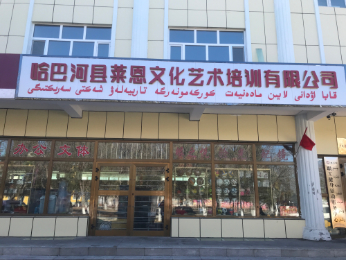 哈巴河县莱恩文化艺术培训有限公司