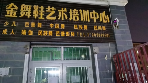 阿拉尔市金舞鞋文化艺术培训有限公司