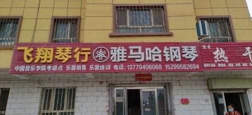 飞翔琴行(新苑分店)