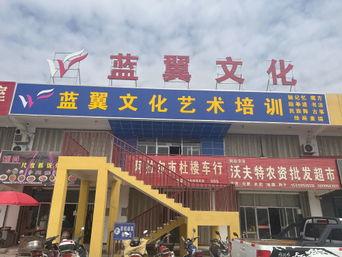 蓝翼文化艺术培训