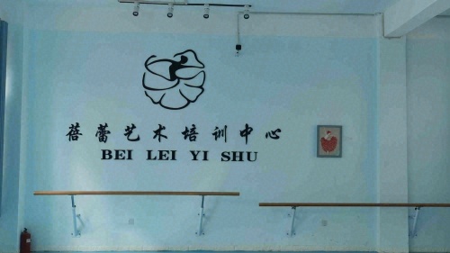 图木舒克市蓓蕾艺术培训有限公司