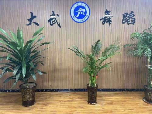 大武舞蹈(上海路)
