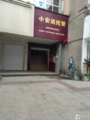 小安适托管