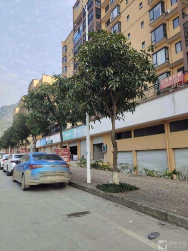 红果果托管