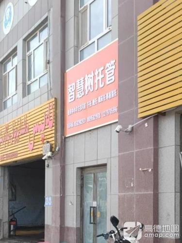 智慧树托管
