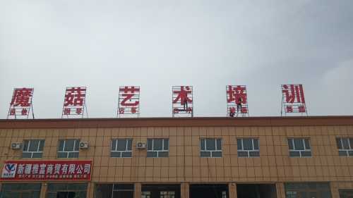 岳普湖魔菇艺术培训有限公司
