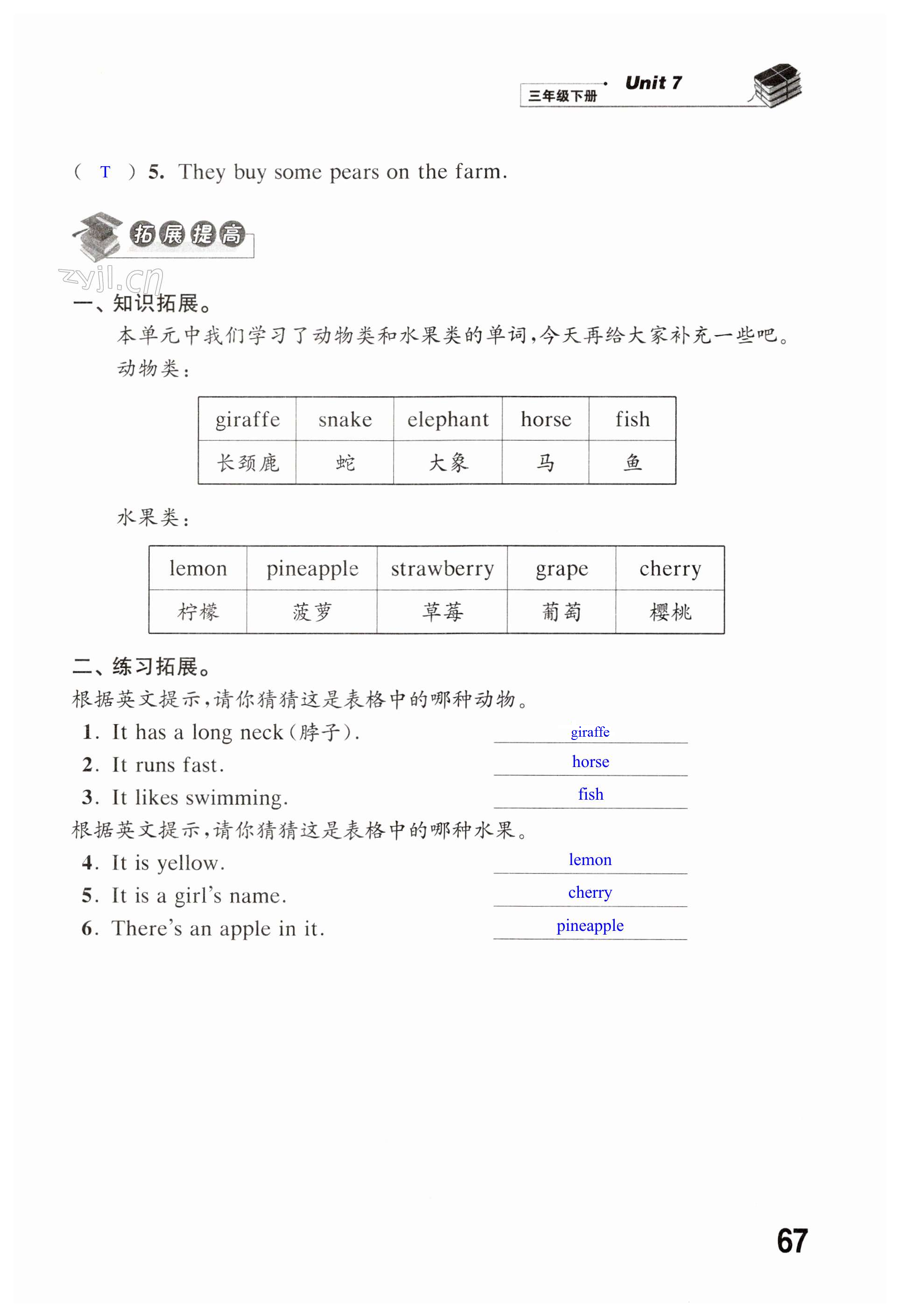 第67页