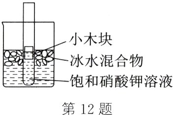 饱和硝酸钾溶液第12题