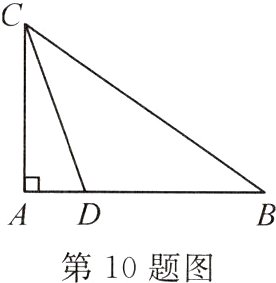 第10题图